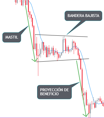 Banderas Bajista